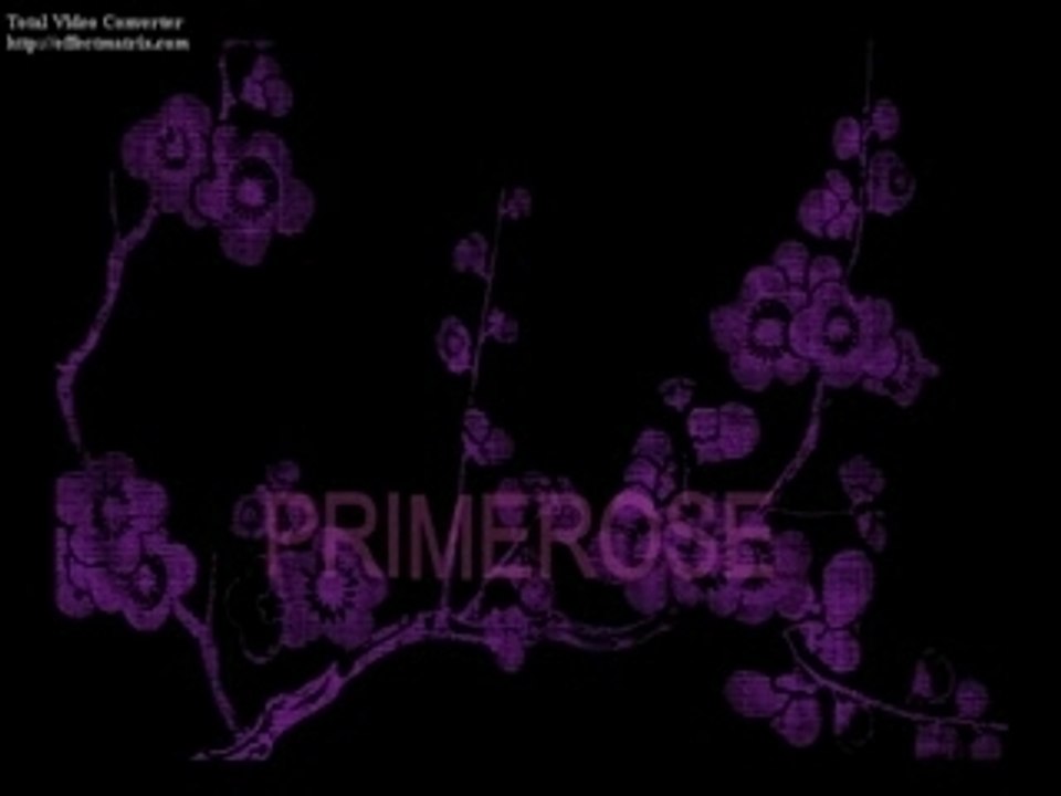 LUNETTES LAFONT PARIS