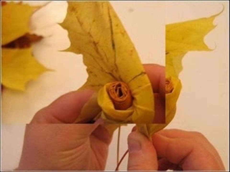 Rose de feuille