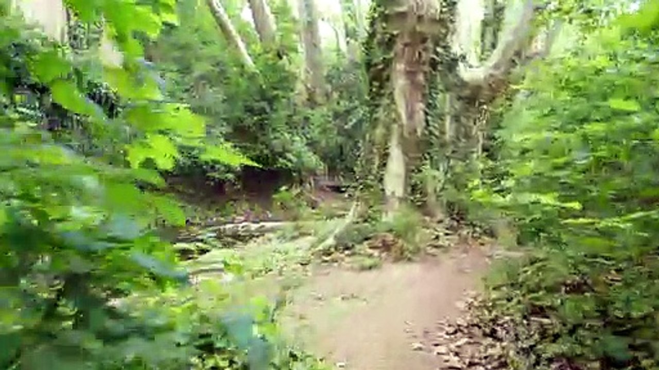 LA BARBEN 5