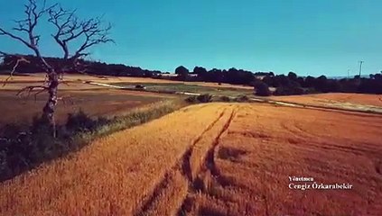 İmamoğlu, yapımına destek olduğu Hasan Ali Yücel’in hayatının anlatıldığı ‘Yücel’in Çiçekleri’ filminin fragmanını paylaştı