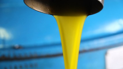 We went to see how traditional Italian olive oil is made