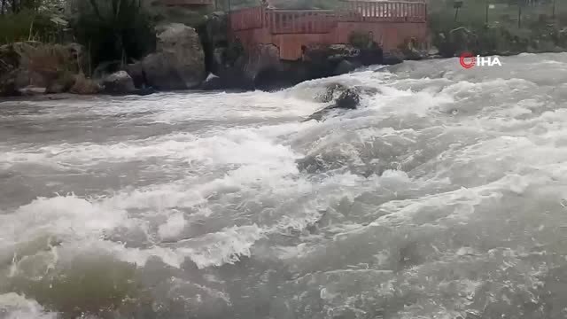 İnci Kefalinin Zorlu Göç Yolculuğu Havaların Geç Isınmasıyla Birlikte 15 Gün Geç Başladı