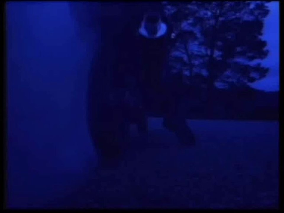 Aaliyah- Are You That Somebody Remix