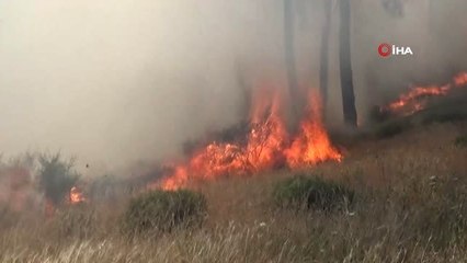 Hatay'da Mesire Alanında Yangın Çıktı