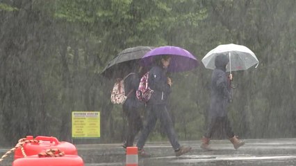 '500mm' 장대비...서귀포 5월 역대급 폭우 / YTN