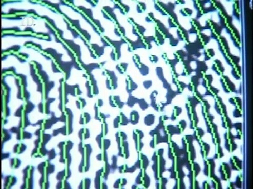 Detektywi Sądowi - Skradziona tożsamość