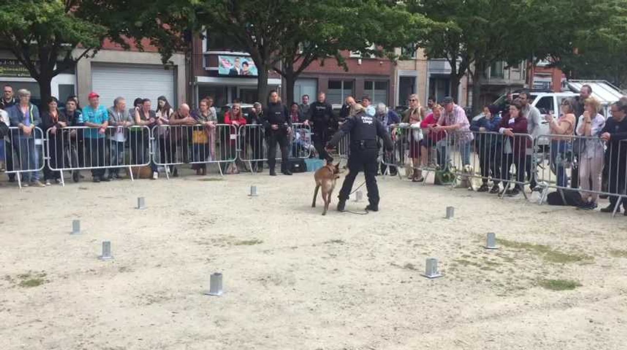LIEGE - Concours canin Esplanade Saint Leonard - Démonstration de la brigade canine de Liege