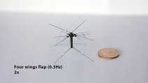 علماء يطورون حشرة روبوتية تطير بأربعة أجنحة