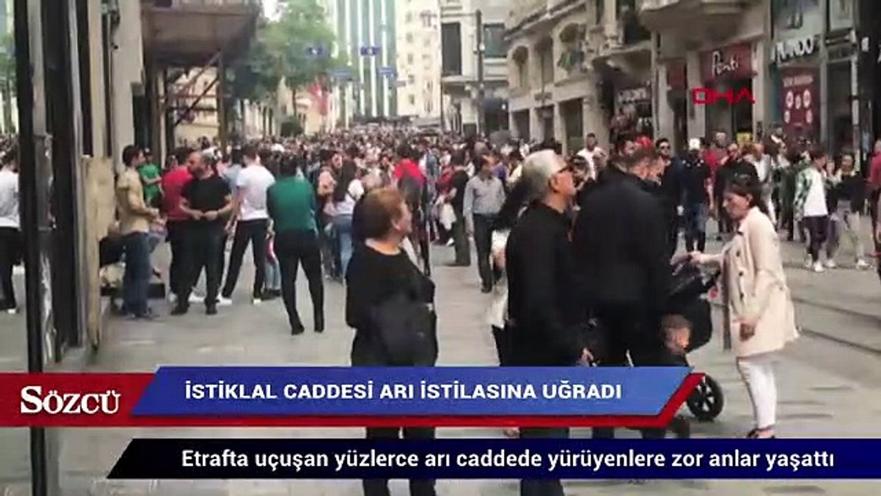 Beyoğlu İstiklal Caddesi arı istilasına uğradı!