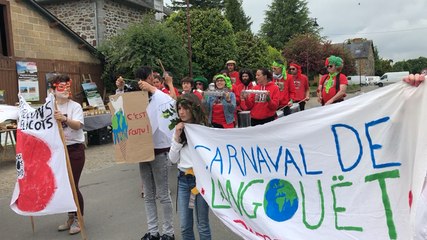 Carnaval des coquelicots contre les pesticides