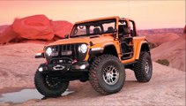 Jeep® Jeepster  Nacho  J-Wagon  B-Ute Concepts
