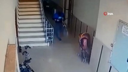 Bisiklet Hırsızı Güvenlik Kamerasına Yakalandı