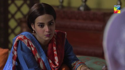 Ranjha Ranjha Kardi Epi 29 HUM TV Drama 18 May 2019
