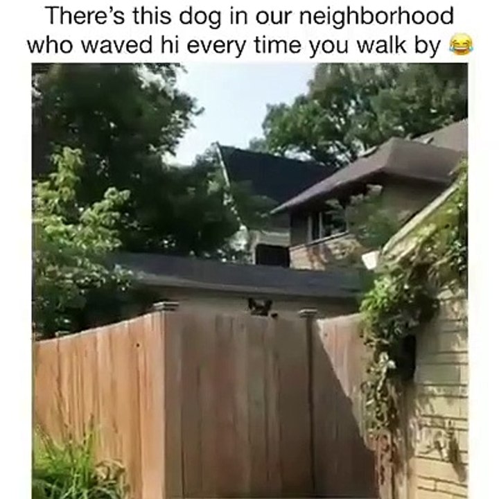 Bye bye