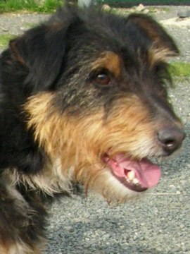 Gretta Spa De Cornouailles concarneau