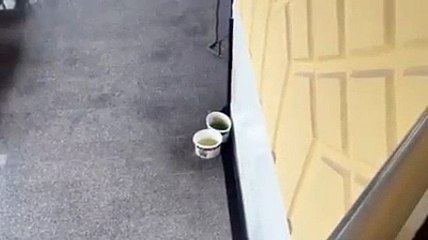 Shtepia e Kultures ne Skenderaj