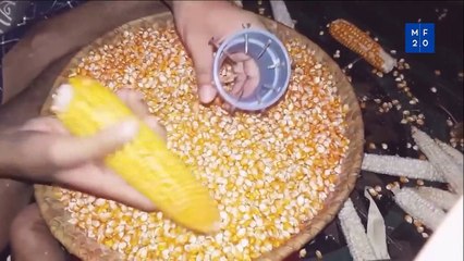 Amazing Creative Workers _ They work with Passion #20