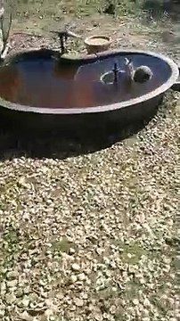 Rabye Bouden 2019 hout fel bousta