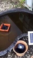 Rabye Bouden bientot des poissons rouges