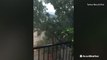 Heavy winds, rain on display as storms drift through Dallas