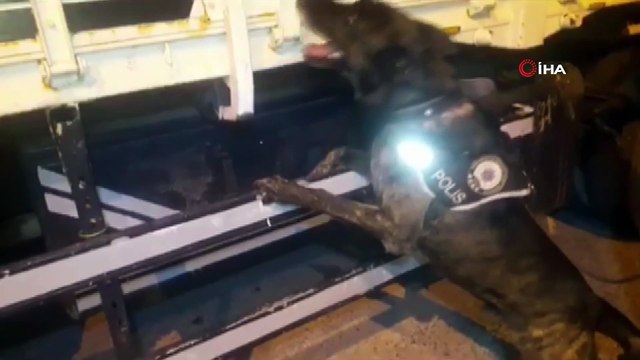Pul biber ile kamufle edilen eroin, narkotik köpeği Alfa'ya takıldı