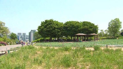 [날씨] 오늘 맑고 낮 동안 선선, 공기 깨끗 / YTN