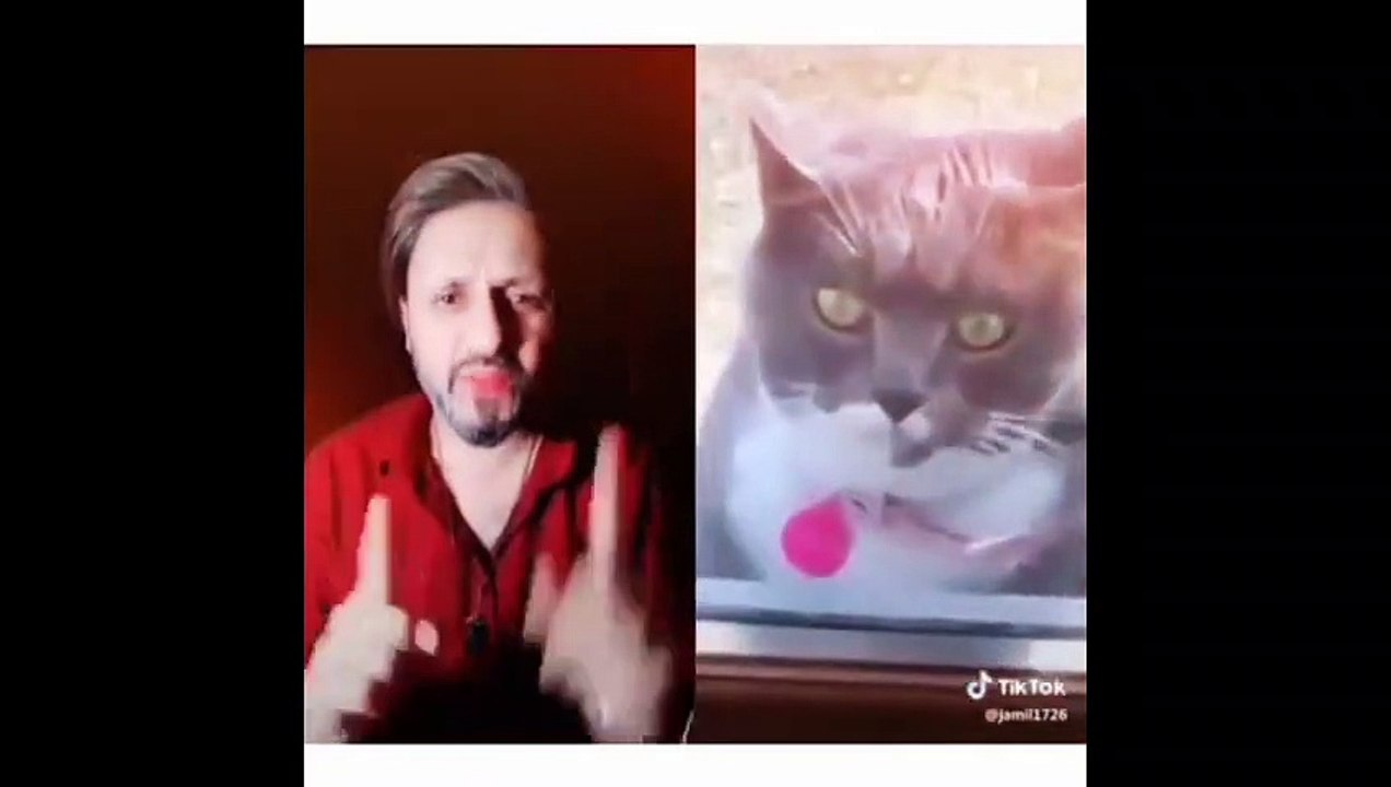 TIK TOK FUNNY VIDEOS 2019 HILARIOUS / SOCIAL TRENDING