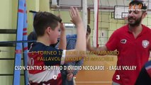 VED Tv Sport - Volley: CSDN CENTRO SPORTIVO D'OVIDIO NICOLARDI - EAGLE VOLLEY NAPOLI 0 -3  2°Torneo 11 Fiori del Melarancio Under 14 Pallavolo Maschile