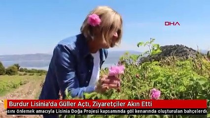 Burdur Lisinia'da Güller Açtı, Ziyaretçiler Akın Etti