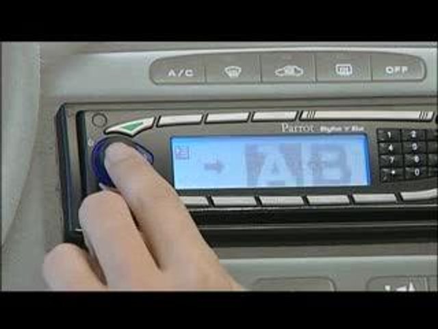 Parrot_Rhythmnblue_video