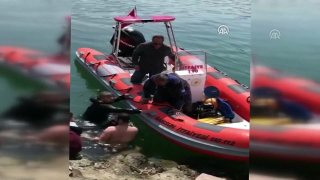 Sığ suda sıkışan yunus botla kurtarıldı - SAMSUN