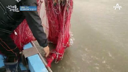 강에서 만나는 제철 숭어, 한강에 어부가 있다?!