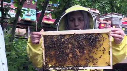 Hayallerine arı ve bal üretimiyle kavuştu - DÜZCE