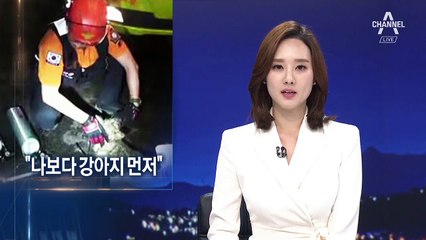 반려동물 챙기는 소방대원들…심폐소생술 등 전문교육 강화
