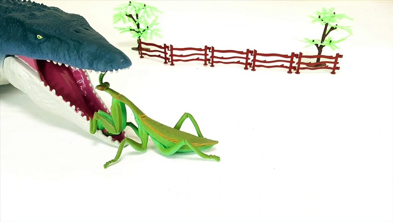 Jurassic Dinosaur Mosasaurus Eats Insect Various Feeds Him