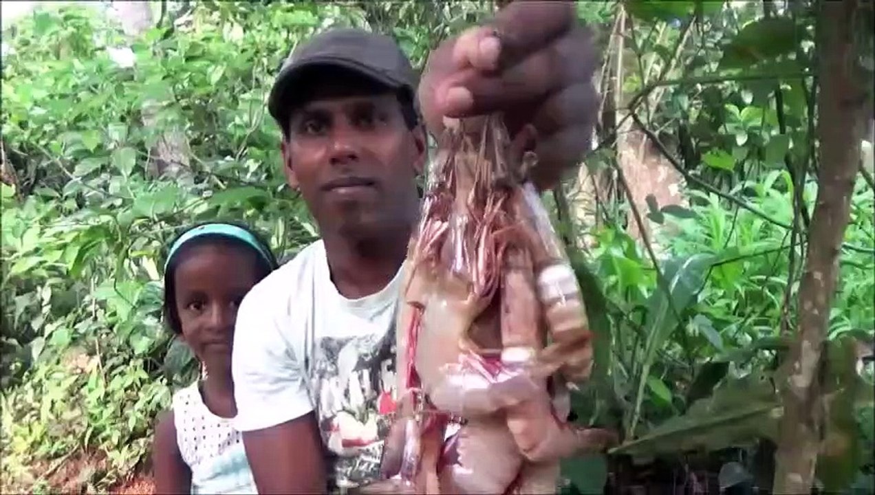 Village de la Nourriture  Cuisson des Crevettes avec des Feuilles de Moringa dans mon Village par une Petite Fille de Papa