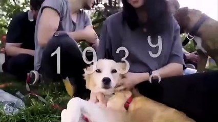 Ankara Büyükşehir Belediyesi’nden 19 Mayıs paylaşımı