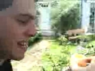 Gobage d'oeuf a la barbou