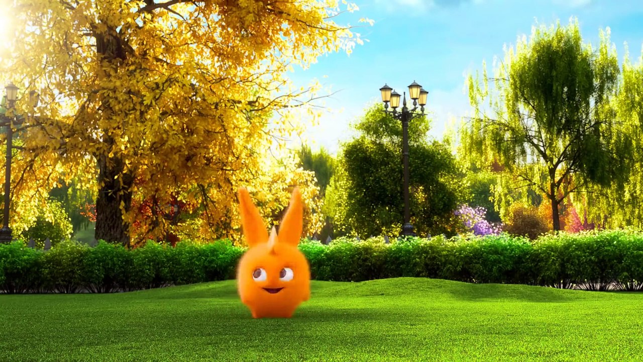 Sunny Bunnies - PLAY A CONCERT | Videos For Kids | Funny Videos For Kids