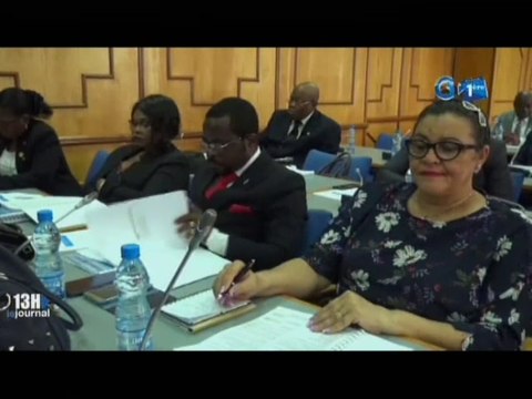 RTG/Assemblée nationale - réunion des députés membres de la commission des affaires étrangères de la coopération internationale et de la défense nationale