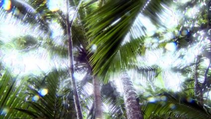 Secret Scene - The Weather Strikes Back