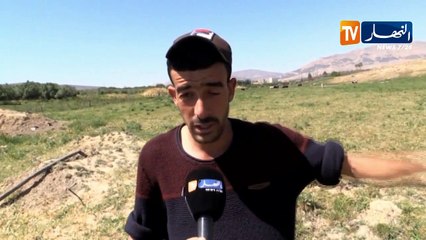 النشرة المحلية/ اللاقمي.. مشروب روح النخلة لمجابهة العطش بالوادي