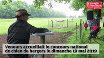 VIDEO. Vienne : les chiens de bergers concourent pour le prix national