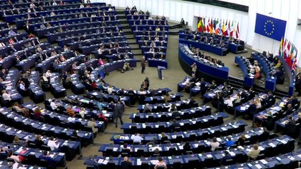 유럽의회 선거 23∼26일 실시...EU 집행위원장 사실상 결정 / YTN