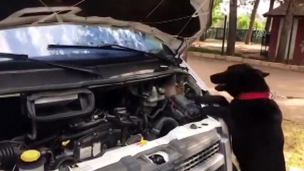 Radyatörün su deposuna sıvı uyuşturucu gizlemişler - GAZİANTEP