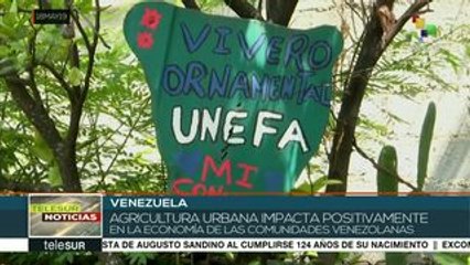 El Plan de Agricultura Urbana fortalece la economía familiar