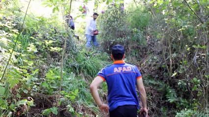 Kaybolan yaşlı kadının cesedi bulundu - ORDU