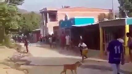 Una familia cambió la clave el WiFi y los vecinos apedrearon su casa.