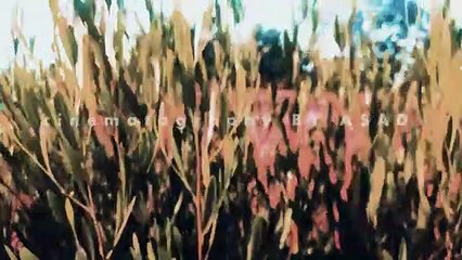 How to edit like this|The world most beautiful relax rivers