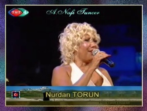Nurdan TORUN - Kaleden Top Atarlar